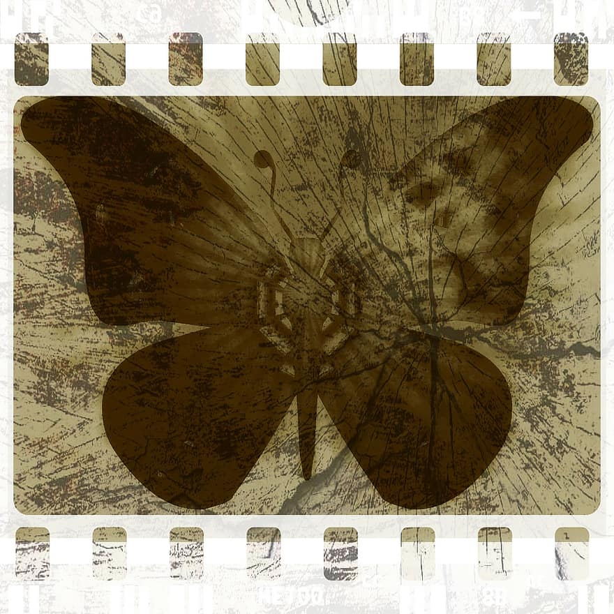 гръндж, пеперуда, заден план, абстрактен, насекомо, крило, дивата природа, буболечка, ярък, малък, деликатен