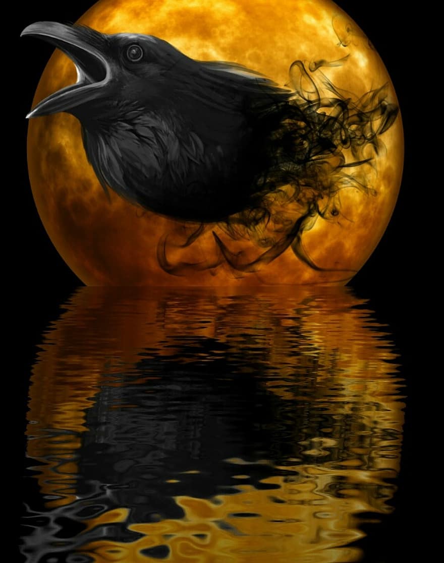 cuervo, noche, Luna, agua, reflejo, horripilante, oscuridad, místico, melancólico, luz de la luna, de miedo