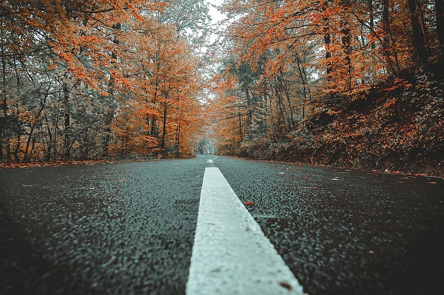 Straße, Landschaft, Herbst, fallen, Fahrbahn, Pflaster, Autobahn, Bäume, Wald
