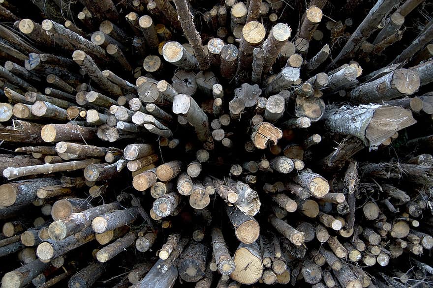 kayu, log, batang, kayu bakar, Potongan Kayu, tumpukan kayu, kehutanan, tekstur, penggundulan hutan, tumpukan, industri kayu