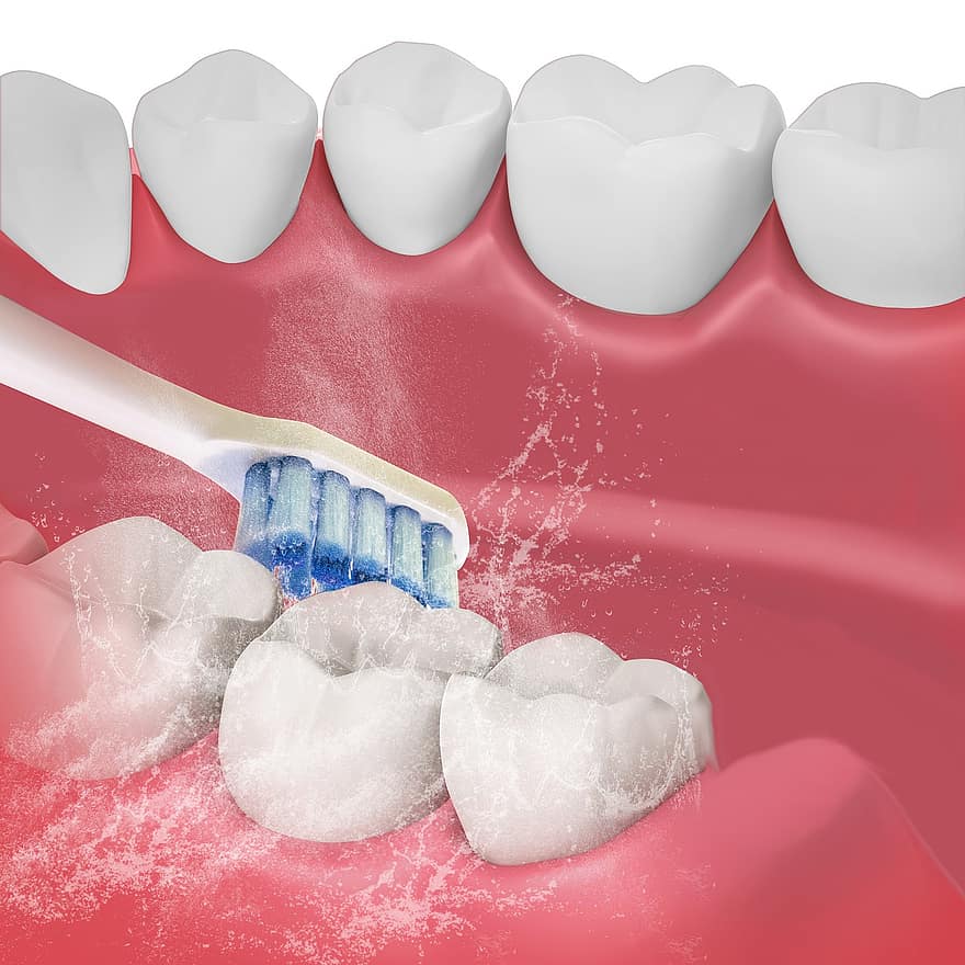 hàm răng, vệ sinh, bàn chải đánh răng điện