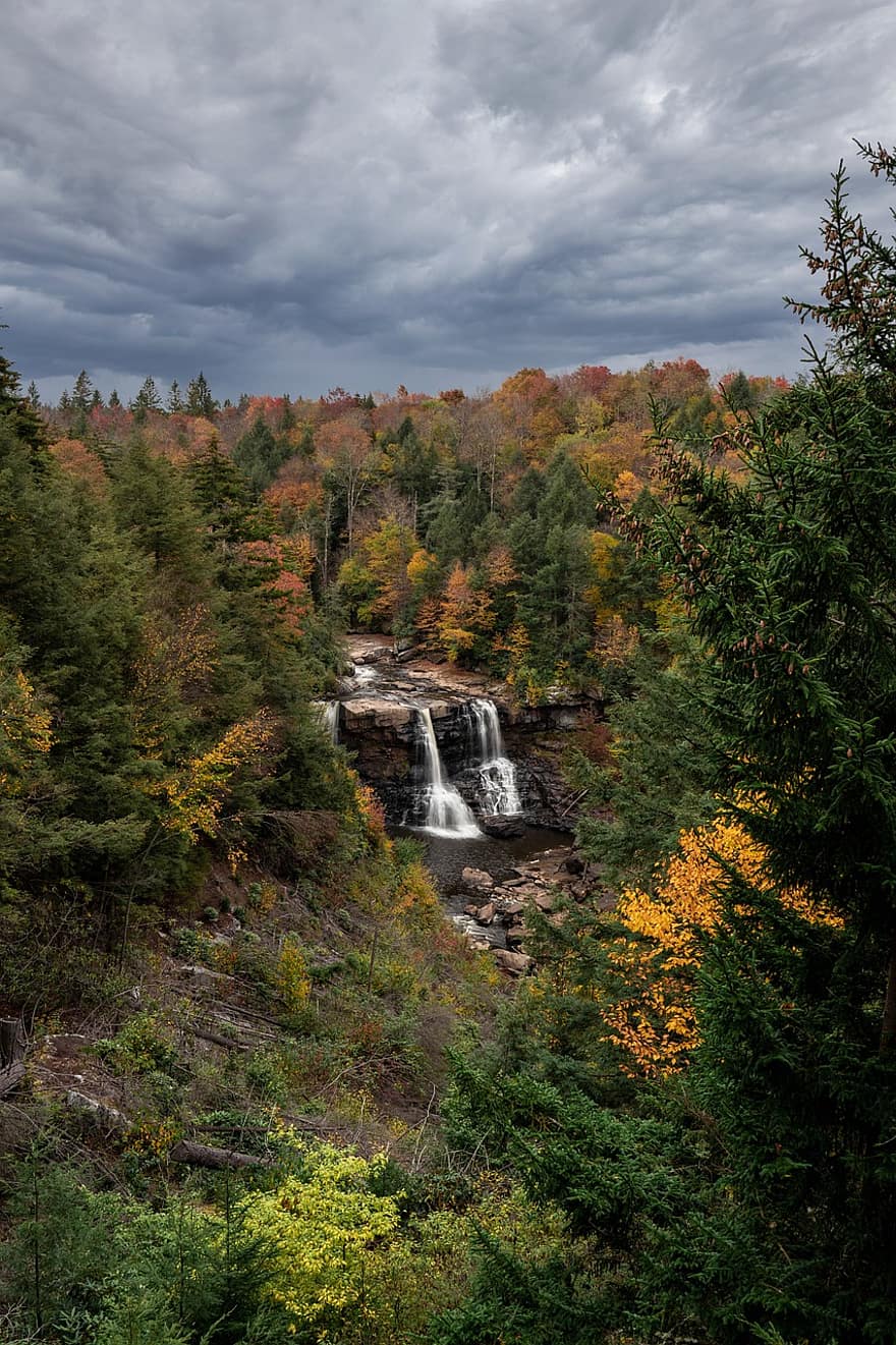 blackwater falls, vattenfall, Blackwater Falls State Park, skog, landskap, natur, västra Virginia