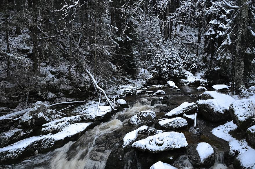River, Forest, Winter, Snow, Nature, Trees, Landscape, tree, water, mountain, rock