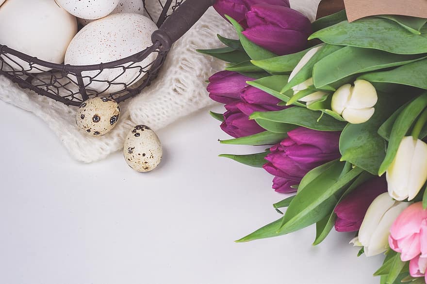 Eggs, Tulips, Flowers, Spring, decoration, backgrounds, flower, close-up, freshness, springtime, gift