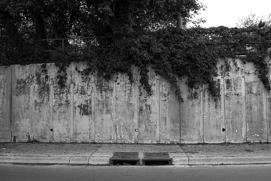 en blanco y negro, descuidado, plantas, naturaleza, calle, ciudad, hormigón, grafiti, colector de aguas pluviales, desagüe, antiguo