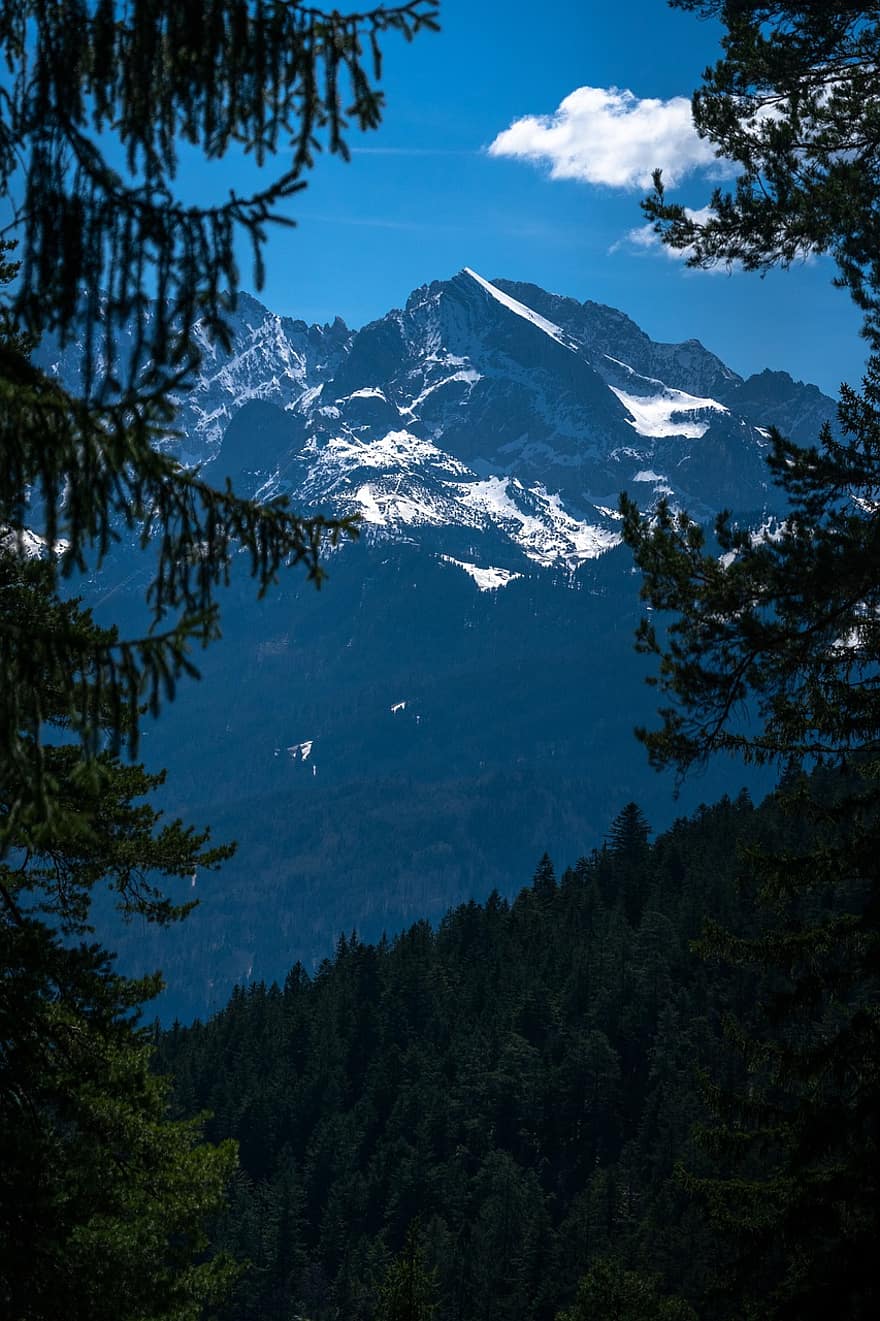 montagne, Alpi, natura, alpino, prato, Austria, Germania, sfondo, Carta da parati 4k, montagna, foresta
