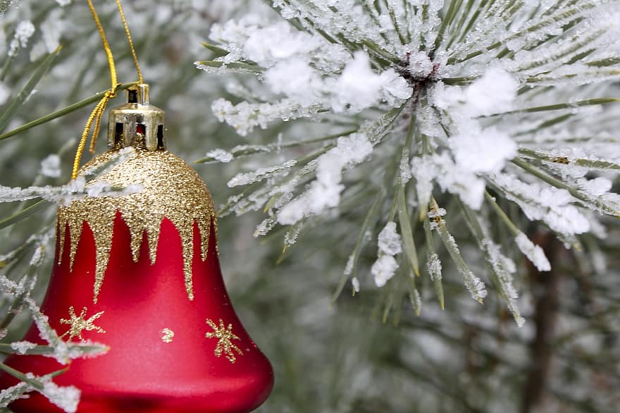 hó, téli, fa, Karácsony, természet, fagy, fenyő, erdő, évszak, dekoráció, ünneplés
