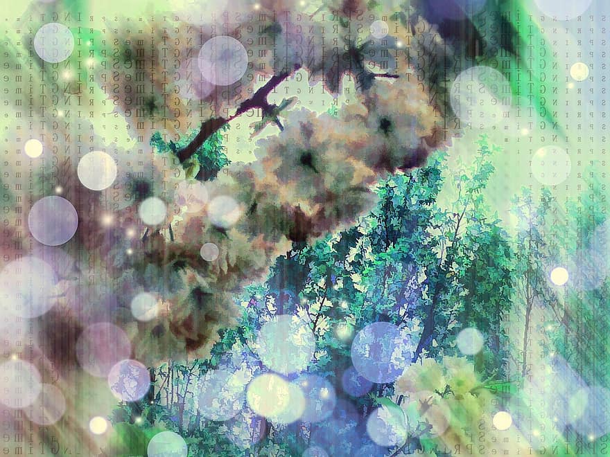 árbol de flores, flor, floración, Typopaint, pintura, tarjeta de felicitación, resumen, artísticamente