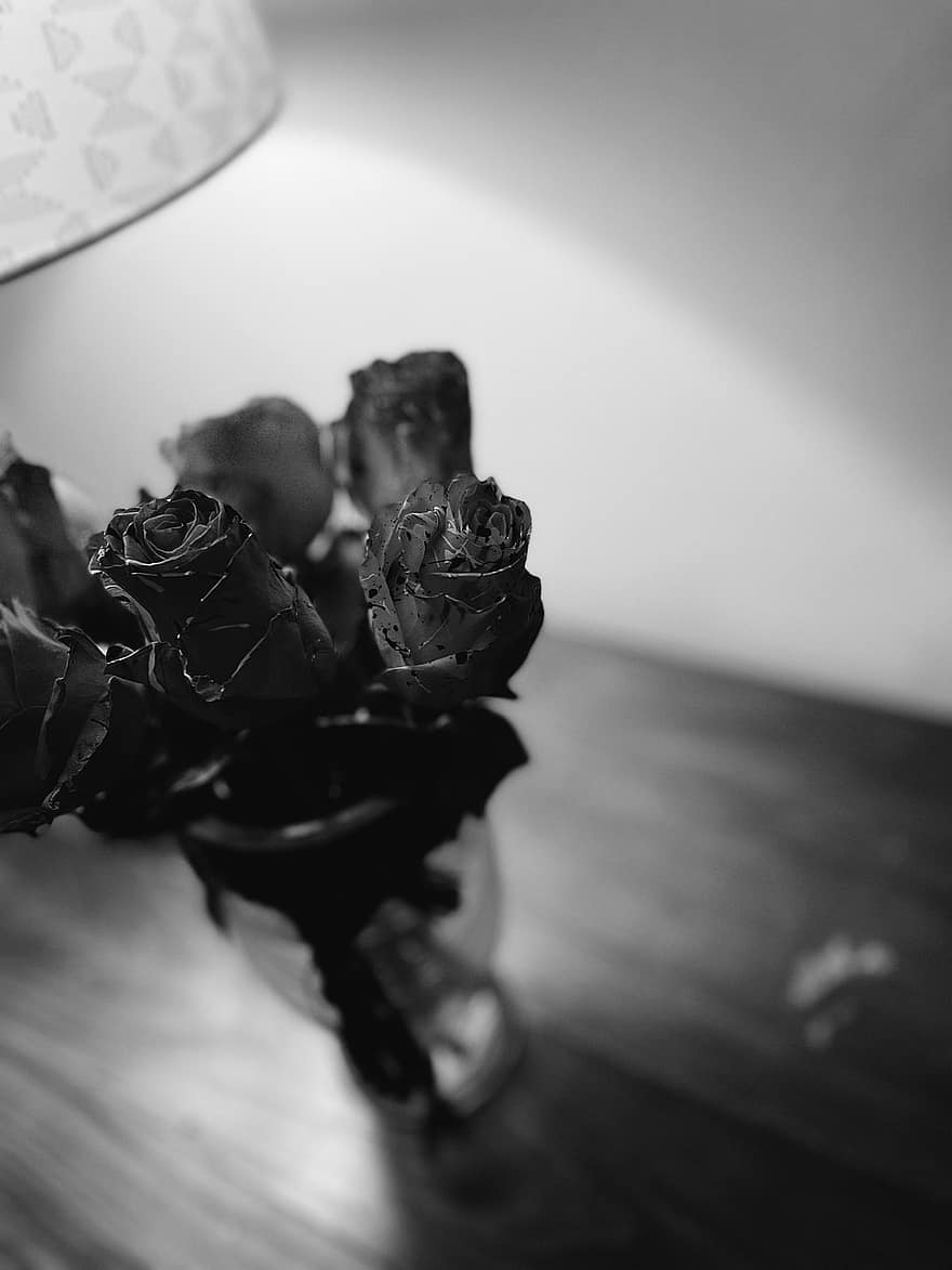 Роза, цветы, монохромный, ваза, букет, украшение