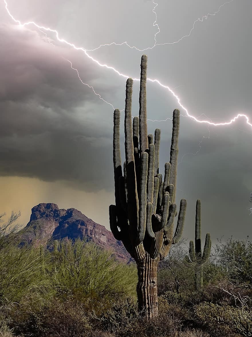 Аризона, буря, пустинята Аризона, пейзаж, природа, кактус, Сагуаро, saguaro кактус, планина, пейзаж на Аризона, САЩ