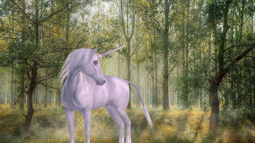 Unicorn, Forest, Fairy Tales, Mystical, Mythical Creatures, Landscape, Fantasy, Mythical Animal, Trees, Lucky Charm, Romantic