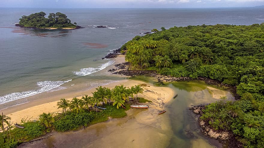 coastă, mare, Sierra Leone, insulă, copaci, pădure, ocean, litoral, mal, natură, decor