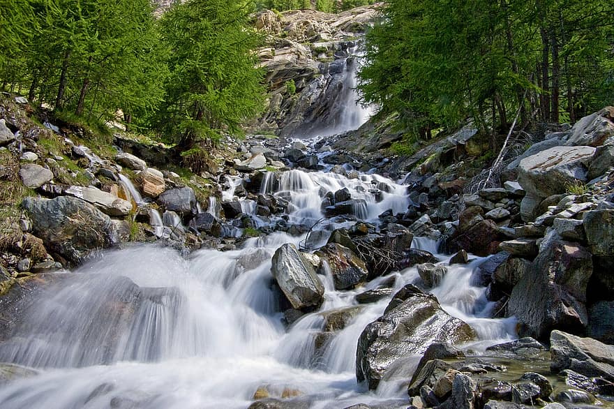berg-, water, rivier-, onstuimig, waterval, Alpen, Nationaal Park, stenen, bomen, Bos, dennenbos