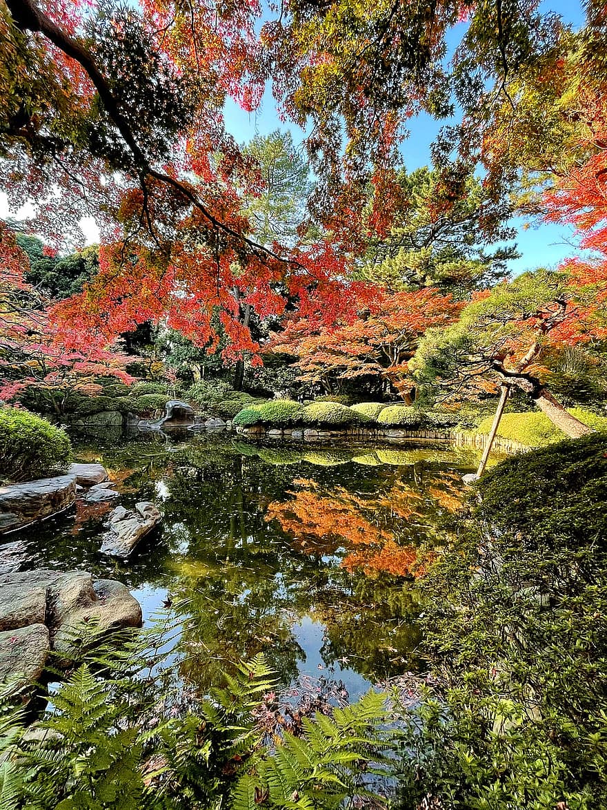 дървета, езерце, музей, парк, Токио, Япония, град, стар, наследство, градина, природа
