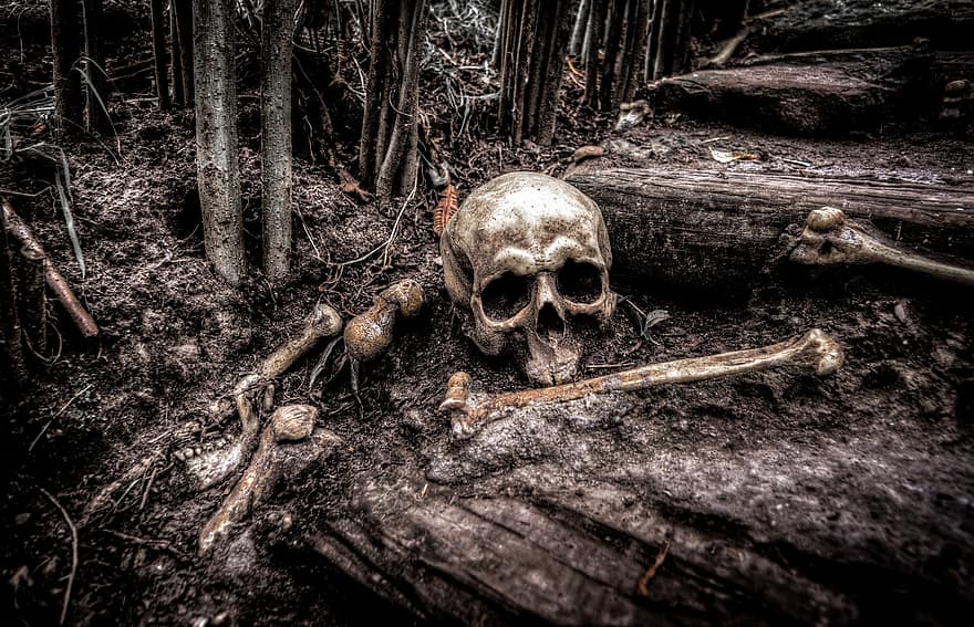 crâne, des os, squelette, tête, mort, morte, signe, horreur, Humain, Halloween, danger