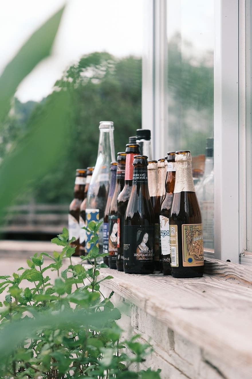 tanaman hijau, jendela, botol kaca, minuman keras, bersantai, akhir pekan