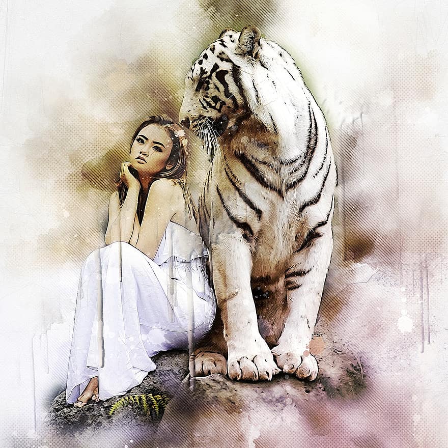 természet, állati világ, fehér bengáli tigris, tigris, ragadozó, nagy macska, vadmacska, veszélyes, kockázat, barátság, király tigris