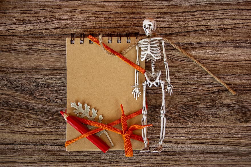 notesblok, skelet, halloween, papir, notesbog, blank, knogler, dekoration, invitation, kort, kopiere plads
