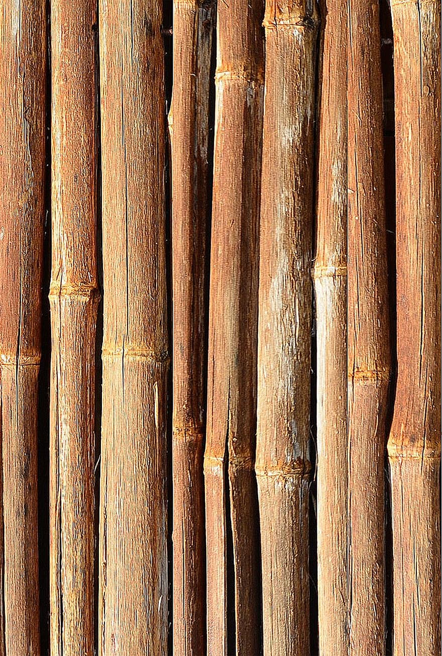 bambù, legna, modello, sfondo