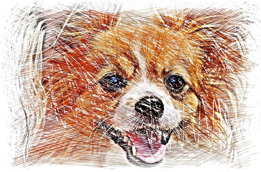 चित्रकारी, कुत्ता, चिहुआहुआ, रंग, जानवर