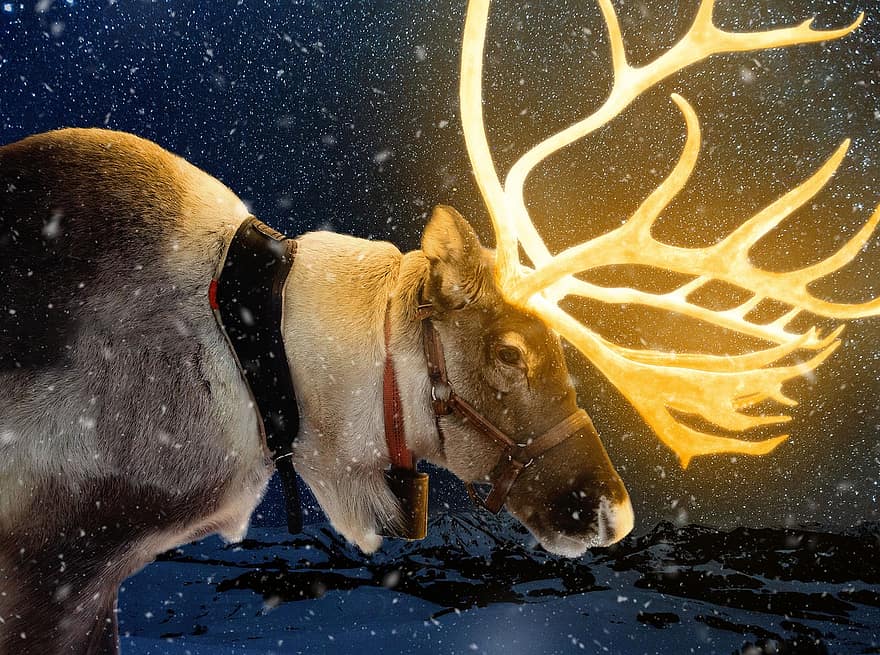 Коледа, Северен елен, елен, Дядо, блестя, еленови рога, север, полюс, сняг, снежинки, Рудолф