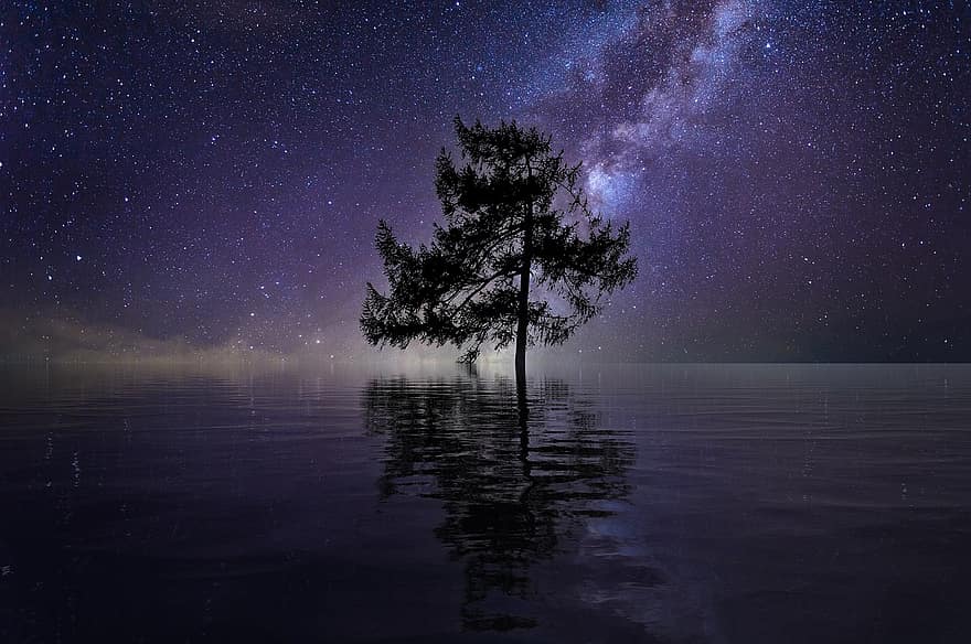 árbol, estrellas, lago, agua, un solo árbol, galaxia, universo, cielo, naturaleza, reflexión, reflejo de agua