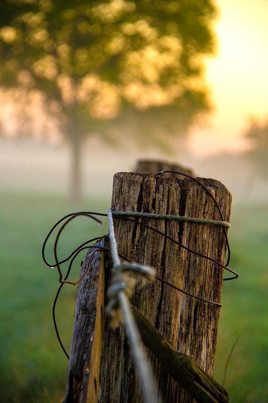 Wood, Post, Fence, Old Wood, Tree Trunk, Raw Material, Nature, Sunset, Mood