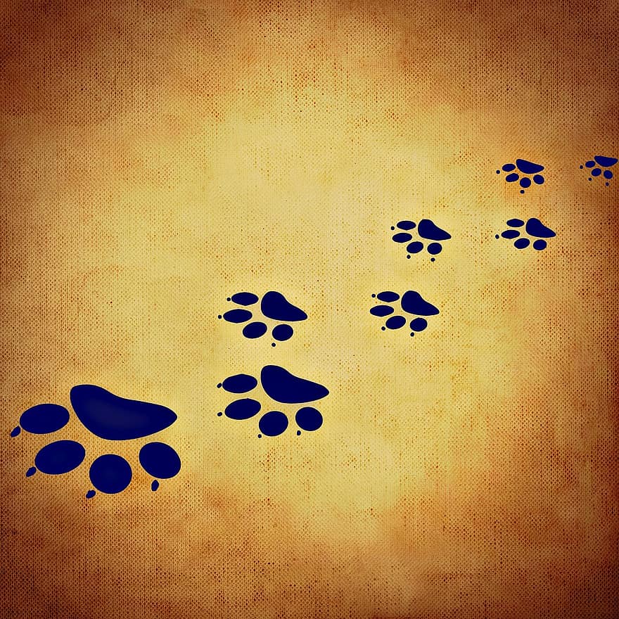 Background Image, Cat's Paw, Cat, Paws, Traces, Paw
