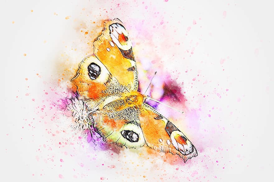 Butterfly, Animal, Insect, Art, Abstract, Watercolor, Vintage, Spring, T-shirt, Artistic, Design