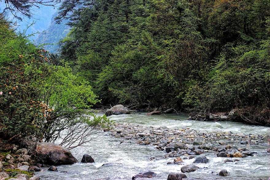 con sông, dòng suối, đá, chảy, cây, tán lá, ngoài trời, dòng nước, phong cảnh, núi, nepal