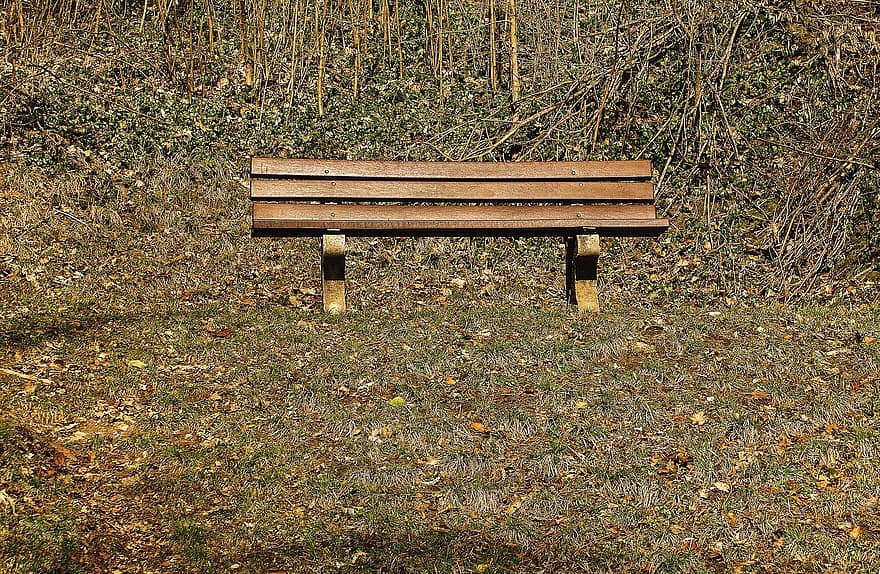 lavice, Příroda, sedadlo, banka, dřevo, tráva, podzim, sezóna, strom, žlutá, venkovské scény