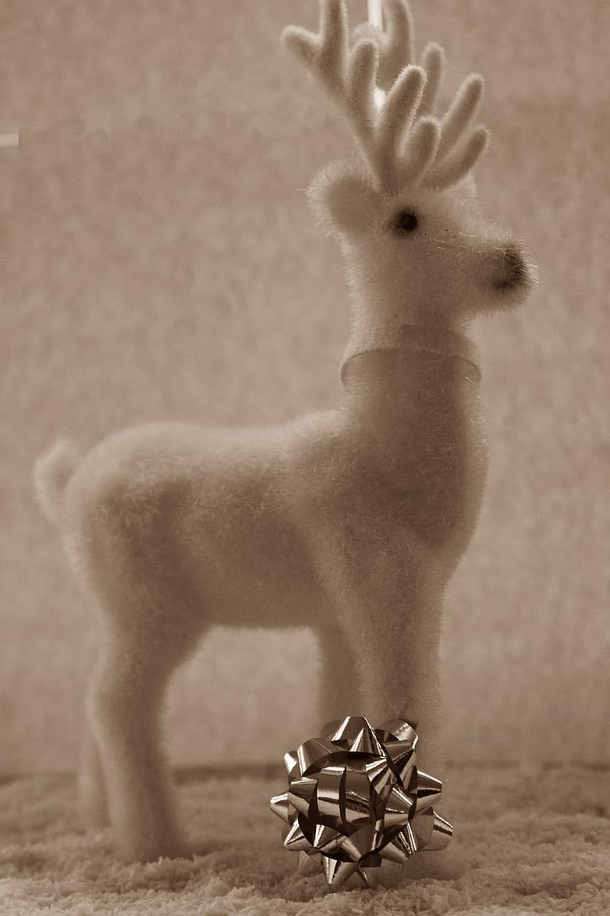 rusa kutub, hari Natal, dekorasi, rusa putih, hadiah busur