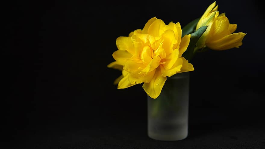 жовті тюльпани, квіти, Ваза з маленькими квітами, тюльпани, жовтий, чорний фон, пелюстки, весна, бісерний, весняні квіти, природи