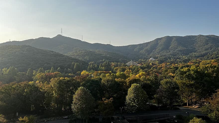 drzewo, Góra, las, jesień, Natura, Wielki Park w Seulu