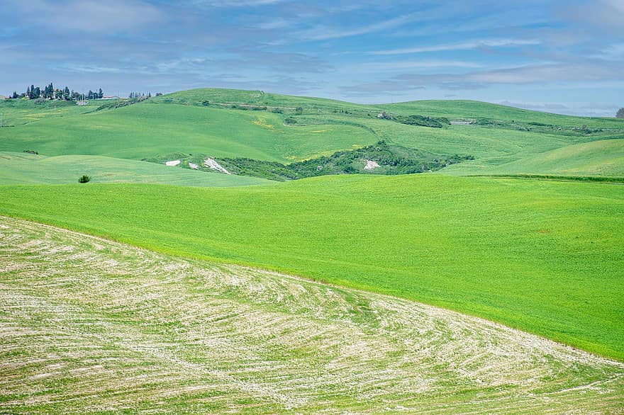 veld-, heuvels, landschap, grasland, weide, landelijk, platteland, natuur, Siena, Toscane