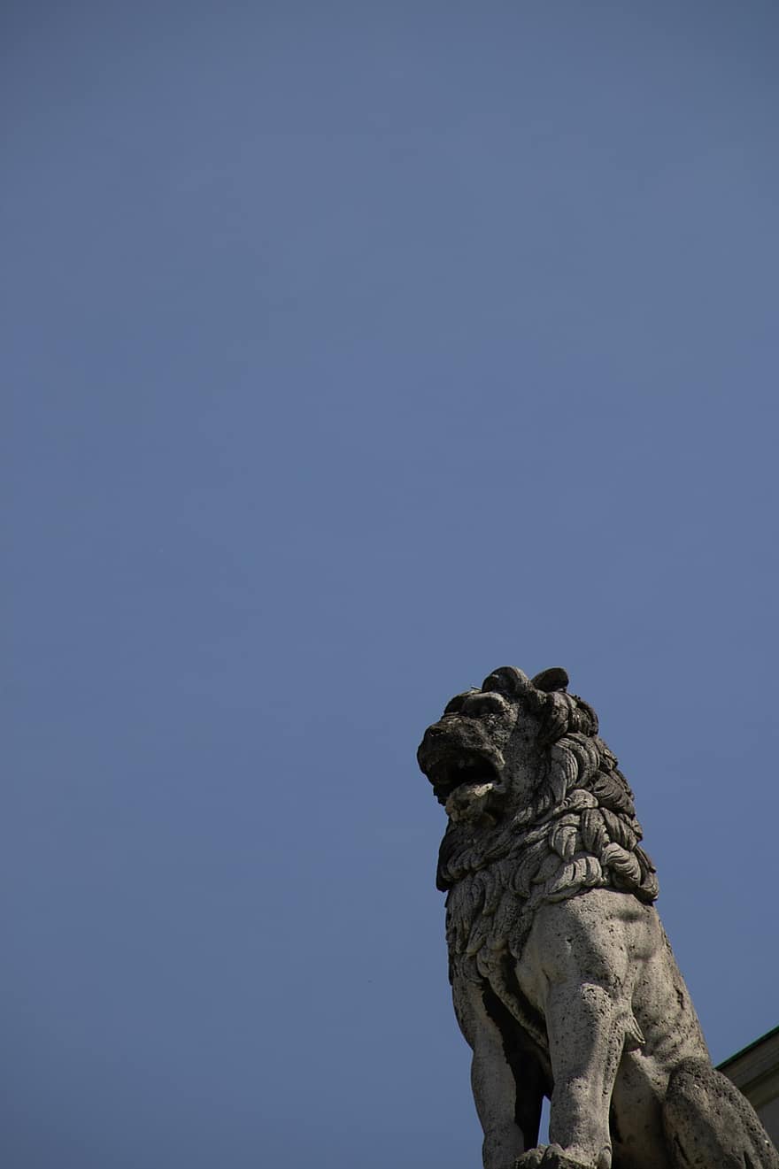 león, Monumento, tallado, bestia, antiguo, animal, representación animal, arquitectura, Art º, artístico, azul