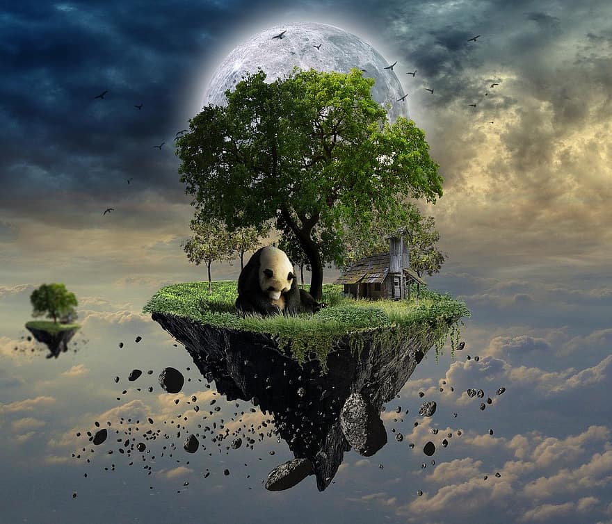 Björn, panda, ö, måne, photoshop, fantasi, dröm, himmel, träd, illustration, moln