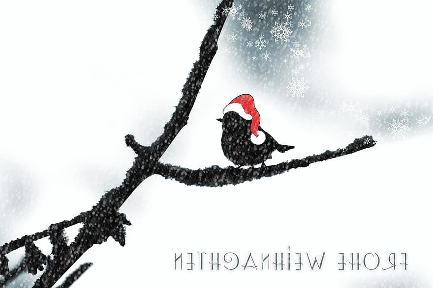 Коледа, коледна картичка, Коледен поздрав, птица, коледен мотив, шапка с козирка, поздравителна картичка, карта, неприветлив, Снежна украса, животно