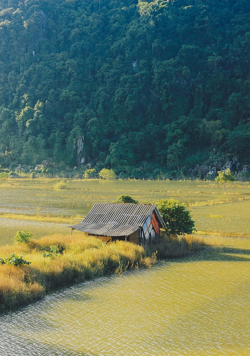 casa, campo, naturaleza, rural