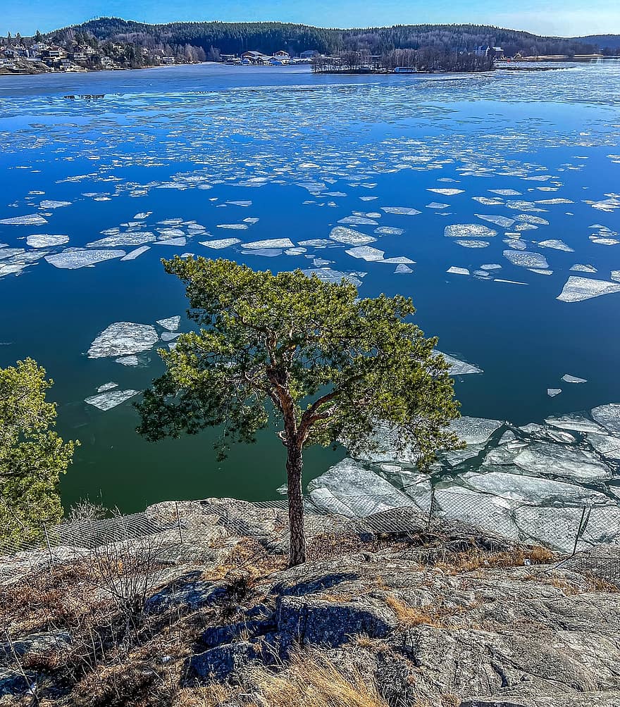 meer, ijsschots, natuur, Stockholm, boom, ijs-, landschap, water, uitzicht, Scandinavië, blauw