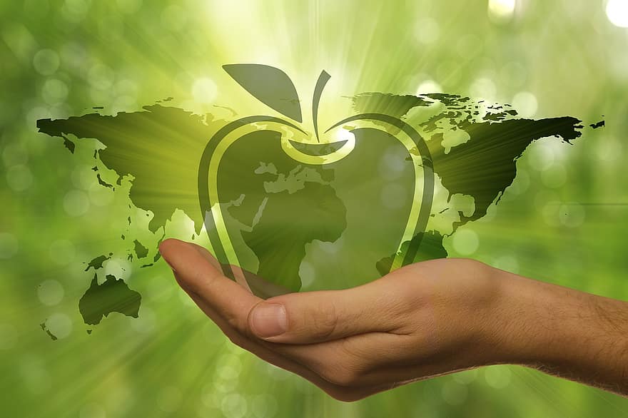 Nature, Nature Reserve, Environment, Environmental Protection, Ecology, Future, Energy, Ecologically, Apple, Continents, Rethinking