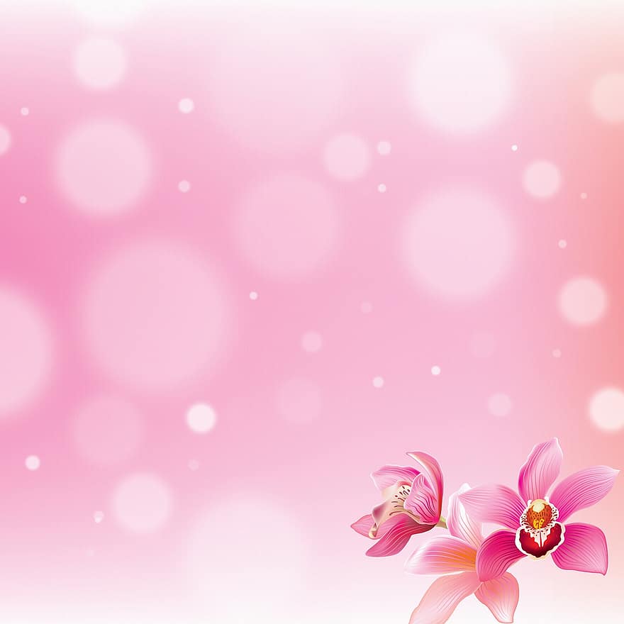 Bokeh Paper, Orchid, Background, Orchids, Bloom, Spa, Love, Massage, Decor, Bright, Relaxation