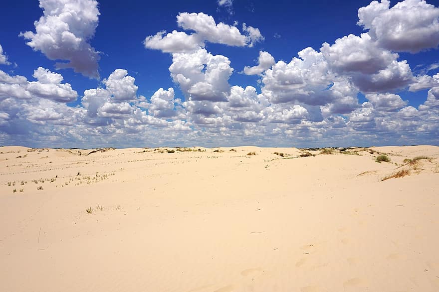 dune de sable, sandhills, Monahans, Texas, dunes