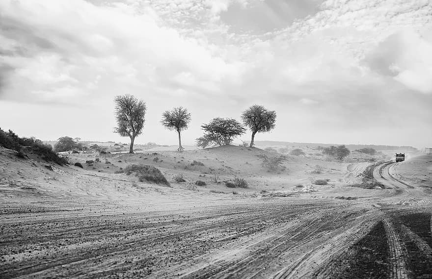 la carretera, Desierto, paisaje árido, naturaleza, en blanco y negro, camino de tierra, campo, paisaje, árbol, nube, cielo