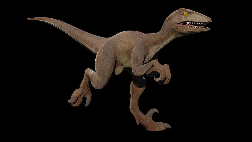 VelociRaptor, dinosaur, forhistorisk, rovdyret, raptor, utvikling, paleontologi, cretaceous, eldgammel, jurassic, utryddet