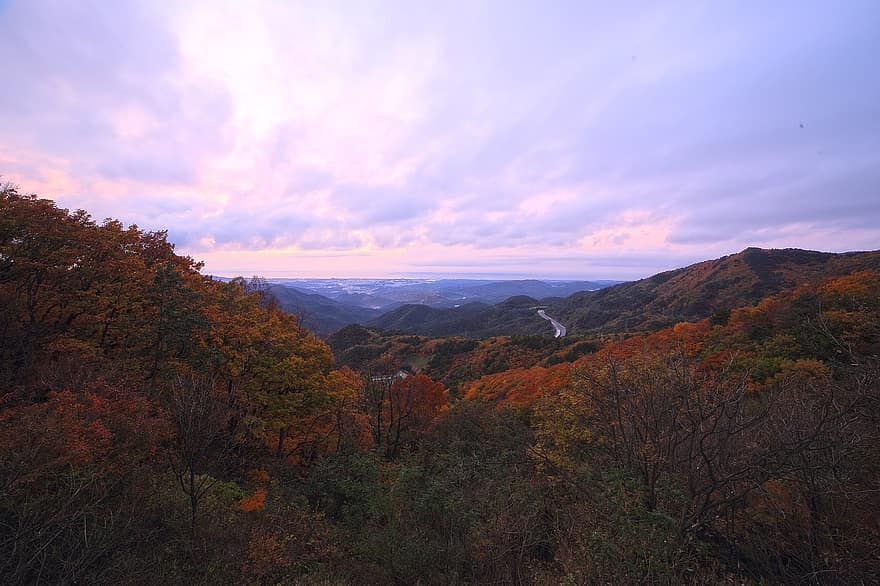 природа, есен, сезон, на открито, падане, daegwallyeong, Gangneung