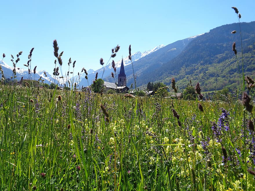 Suíça, Prado, flores silvestres, natureza, Alpes, alpino, panorama, Europa, Val De Bagnes, cenário, grama