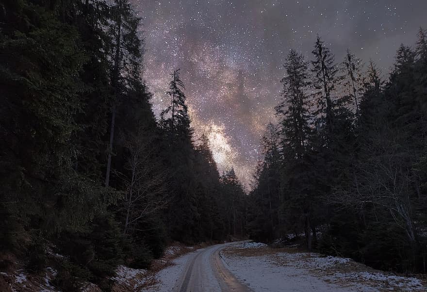 jalan, hutan, malam, pohon, langit malam, bintang, penuh bintang, salju, musim dingin, pemandangan, Blajzloch