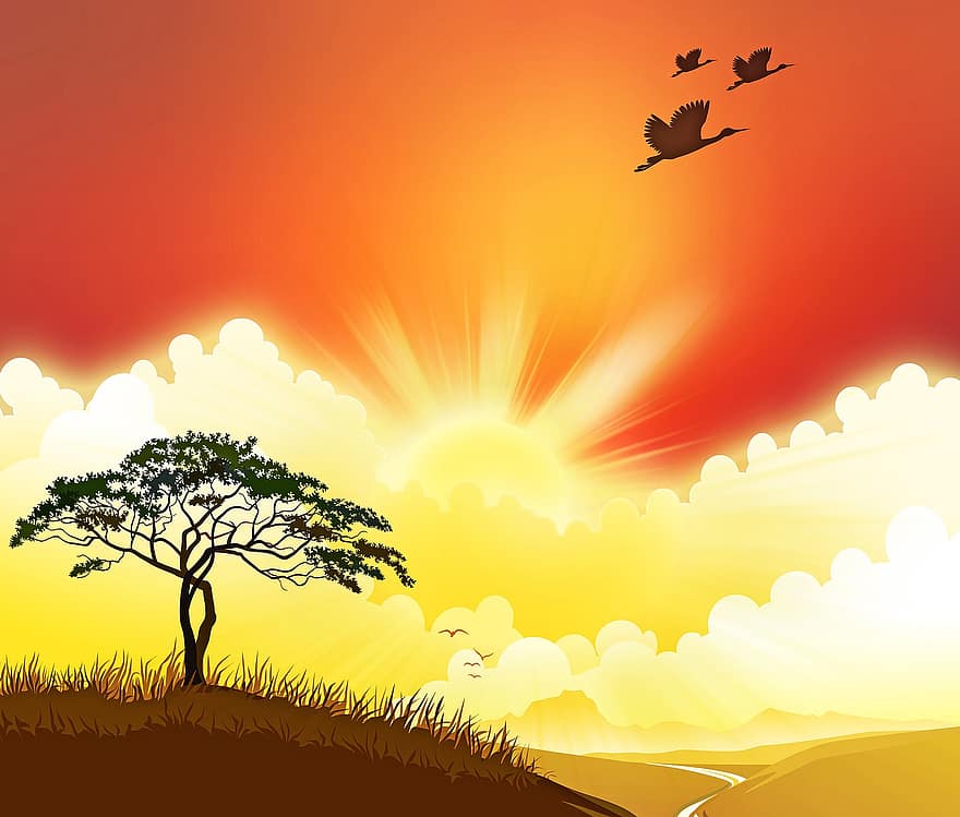 सवाना सूर्यास्त, बतख, सूर्य का अस्त होना, अफ्रीका, पेड़, सिल्हूट, नारंगी आकाश, प्रकृति, आकाश, रवि, पक्षी उड़ान