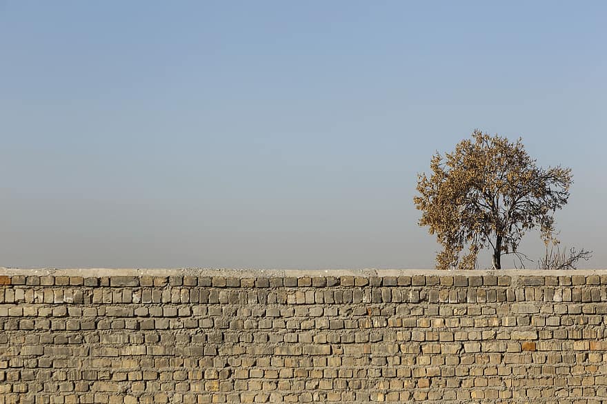 drzewo, Ściana, tło, Natura, Iran, architektura, funkcja budowy, tła, cegła, stary, lato